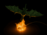 🐉 مصباح الدراغون الأسطوري - The Legendary Dragon Lamp